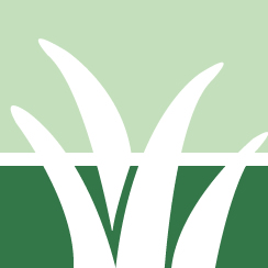Poison Ivy Service Pros
