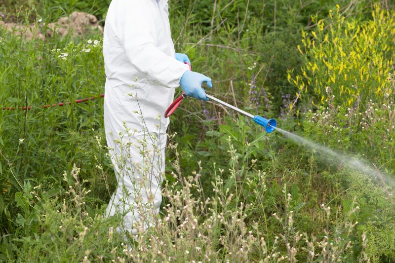 Slope Weed Control in Ventura County, CA